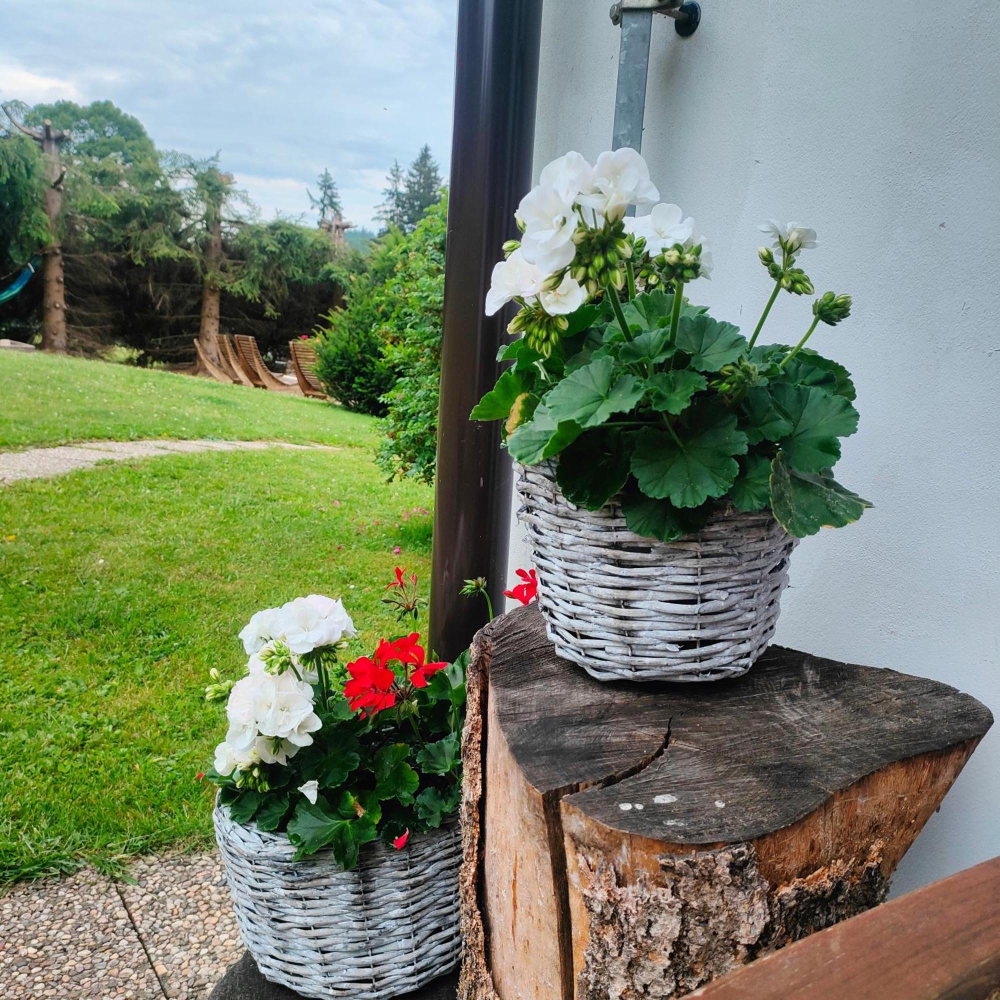 Hotel U Tomíčků Paseky nad Jizerou Exterior foto